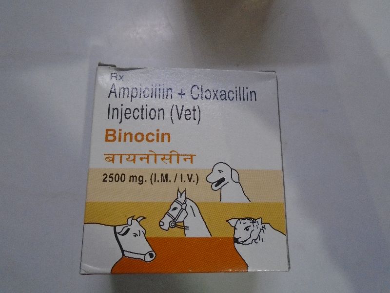 Binocin Injection