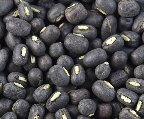 Black Gram Beans