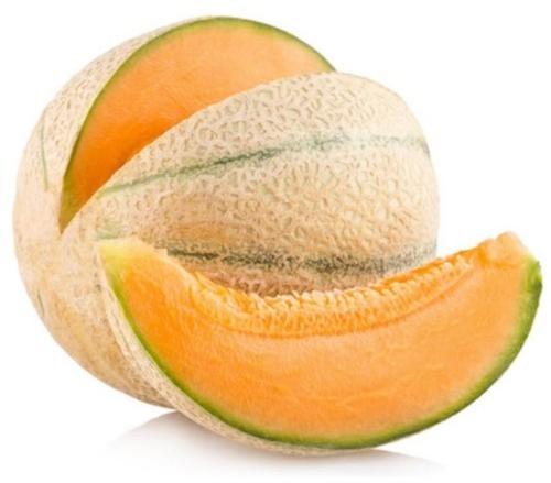 fresh muskmelon