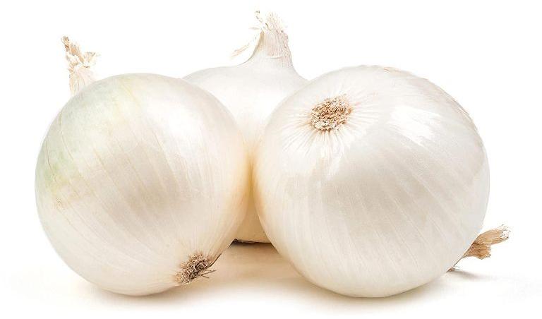 Organic Fresh White Onion, for Cooking, Fast Food, Snacks, Size : Large, Medium