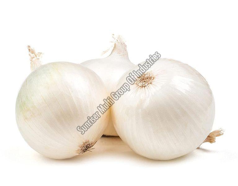 Organic Fresh White Onion, for Cooking, Fast Food, Snacks, Size Large