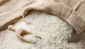 Organic basmati rice, Style : Dried, Fresh
