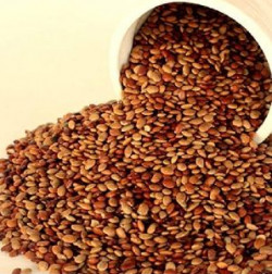 Organic Horse Gram, for Cooking, Spices, Food Medicine, Specialities : Non Harmful, Good Quality