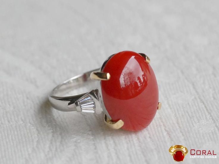 Round Non Polished Silver NATURAL CORAL RING, for Jewellery, Style : Fashionable