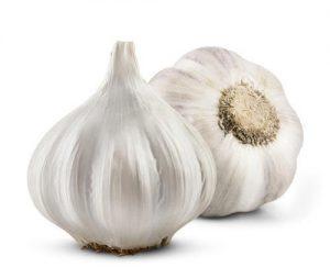 Organic fresh garlic, for Cooking, Fast Food, Snacks, Packaging Type : Plastic Bags