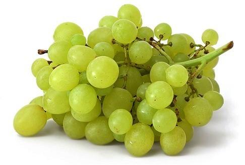 Organic Fresh Grapes, for Human Consumption, Packaging Size : 10kg, 15kg