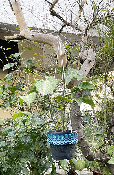 Polished Hanging Plant Pot Ring, for Decorating Flower, Outdoor Decoration, Plantation, Style : Modern