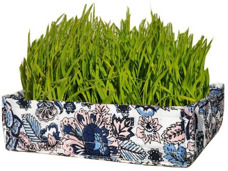 Pink Blue Flowers Wheat Grass Tray, Pattern : Printed