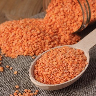 Red Lentils