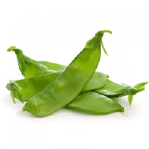 Fresh Broad Beans, Weight 25kg, 50kg at best price INR 60 / Kilogram