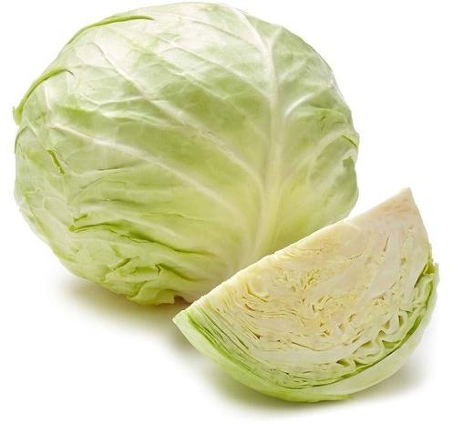 Fresh Cabbage, Packaging Type : 50Kg