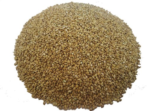 Organic Browntop Millet, for Cooking, Cattle Feed, Feature : Natural Taste
