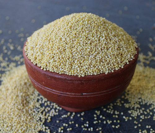 Kodo Millet, for Cattle Feed, Cooking, Feature : Gluten Free at Rs 150 ...