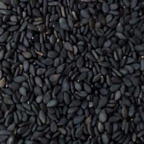 Organic Black Sesame Seeds, Shelf Life : 1year