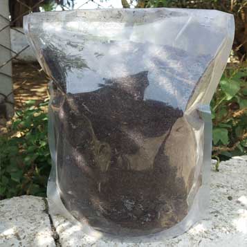Alpaca manure in a sealed black bag c30 litres  Stoke Wood Alpacas  Taunton Somerset