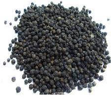 Raw black pepper seeds, Packaging Type : Gunny Bag, Jute Bag, Plastic Pouch