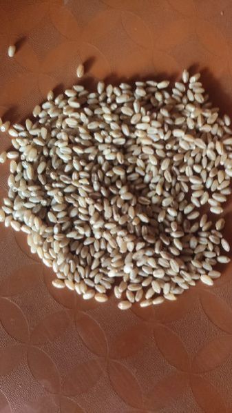 Puff Whaet Puff Ragi Puff Corn Puff Bajara Puff Jawar