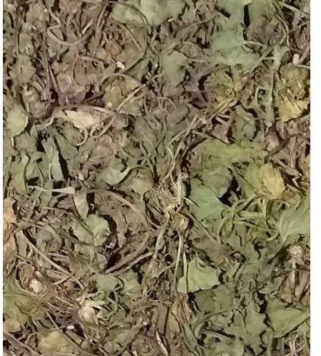 Common Centella Asiatica Dried Leaves, for Beauty, Food Additives, Medicinal, Form : Extract