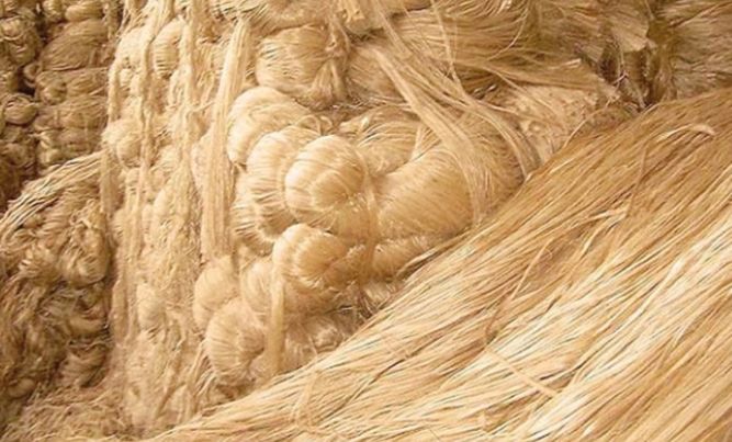 Fibre Raw Jute, Brand Name : Iqosac, Hardness : Soft