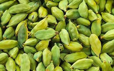 FENELLA'S Common Green Cardamom 8+MM, for Cooking, Spices, Packaging Size : 100gm, 500gm, 1KG