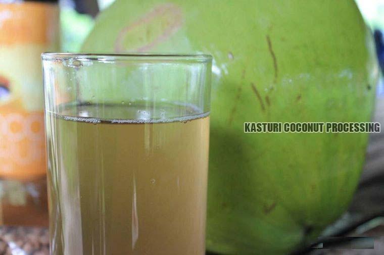 Coconut Sap Water, Shelf Life : 3 Months