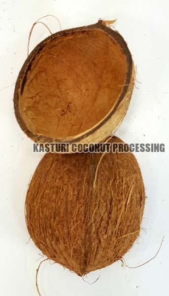 Coconut Shell Halves