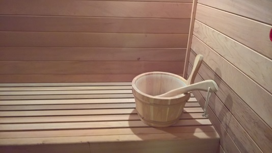 Conventional Sauna System
