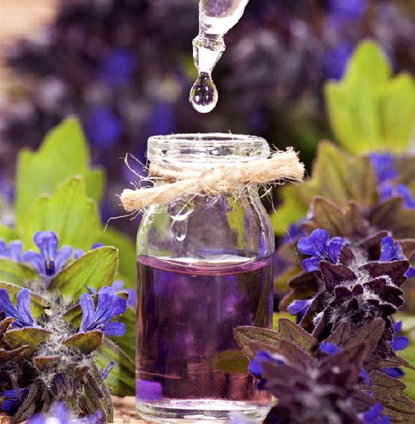 Sweet Lavender Fragrance Oil