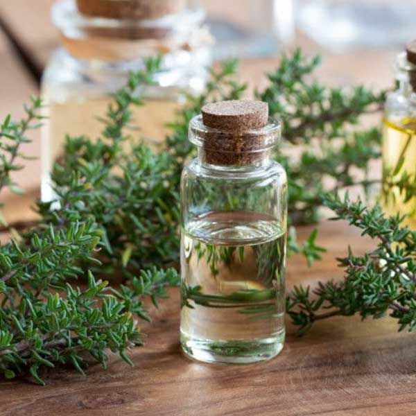 Organic Thyme Essential Oil, for Medicines, Purity : 99%
