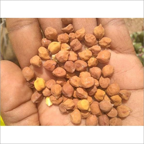 Common Organic Black Chana, for Cooking, Style : Dried