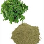 Avuri Leaf Powder