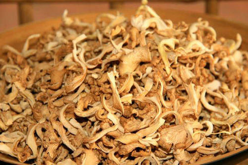 Graded Dried Oyster Mushroom, Color : Light Brown