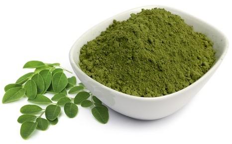 Organic Drumstick Leaves Powder, for Medicines Products, Packaging Type : Plastic Packet