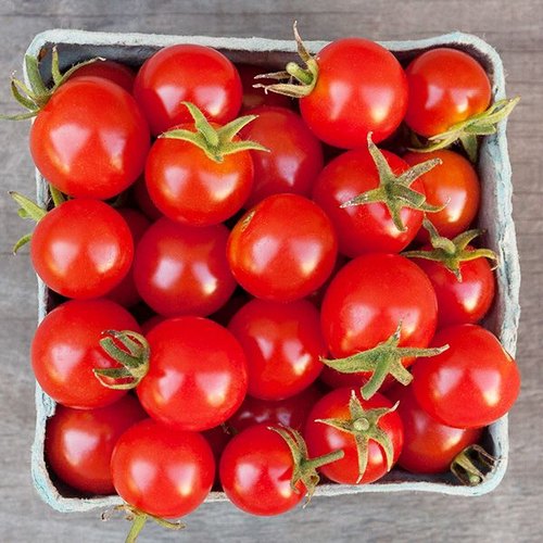 Organic Fresh Cherry Tomato, for Cooking, Packaging Size : 40-50kg