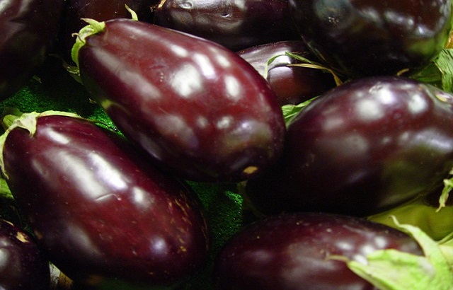 Fresh Purple Brinjal