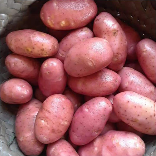 Organic Fresh Red Potato, for Cooking, Snacks, Packaging Size : 40-50kg
