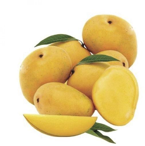 Organic alphonso mango, Color : Yellow