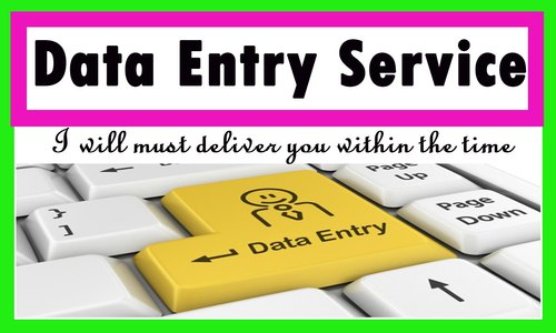 Data Entry Services With Excellent Payout And Good Returns.