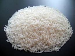Organic 1121 Non Basmati Rice, for High In Protein, Variety : Long Grain, Medium Grain, Short Grain