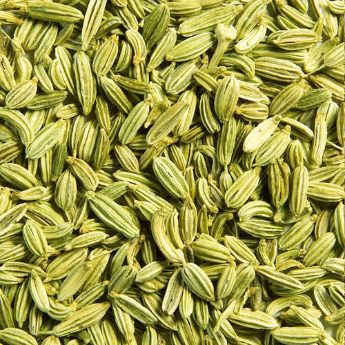 Organic fennel seeds, Packaging Type : Plastic Packet