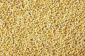 Organic Kodo Millet Seeds, Feature : Natural Taste