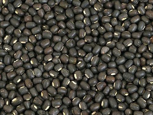 Whole Urad Dal, Color : Black