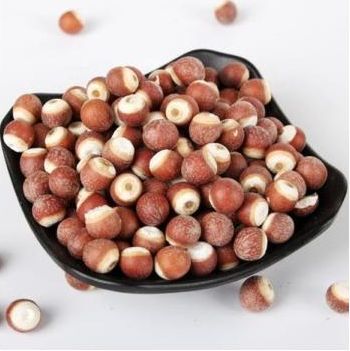Gorgon Nuts, Color : Brownish