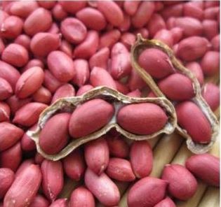 Organic peanut kernels, Packaging Size : 25kg, 50kg