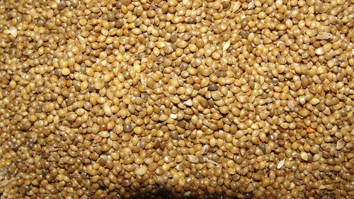 Unpolished millet, Variety : Natural