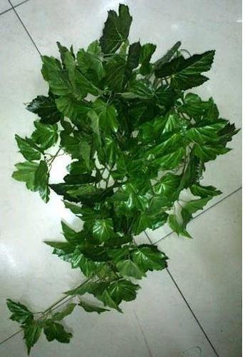 Artifcial Foliagess, for Decoration, Size : Multisizes