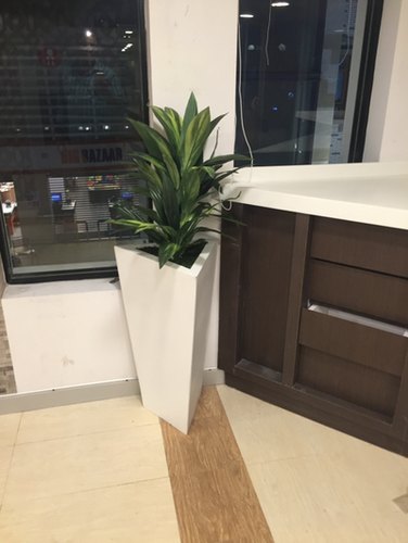 Artificial Dracaena Plant, Feature : Easy Washable, Shiny