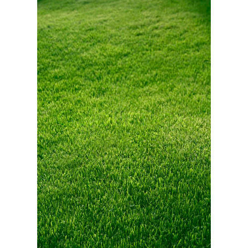 Plastic Green Grass Mat, for Garden, Home, Play Ground, Restaurant, Wedding Ground, Size : Multisize