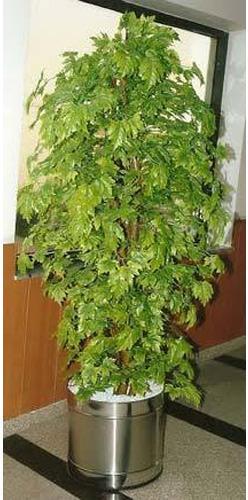 Green Maple Artificial Trees