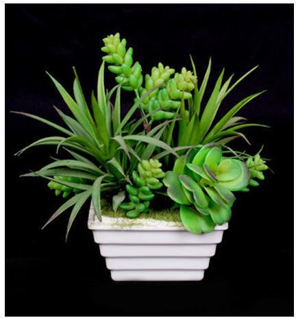 Succulent Plant (SPG-02) Artificial, for Decoration, Color : Green, Light-green